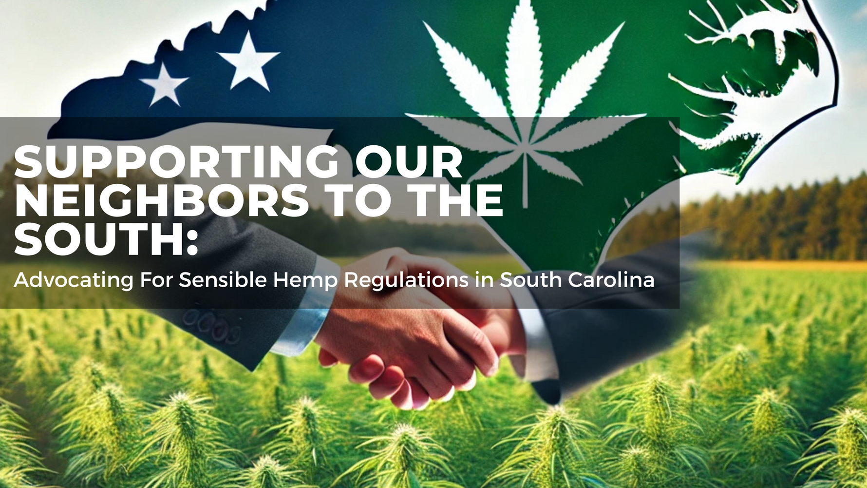 Supporting Our Neighbors to the South: Advocating for Sensible Hemp Regulations in South Carolina