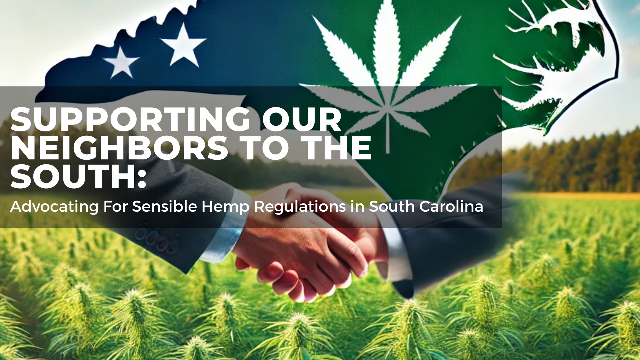 Supporting Our Neighbors to the South: Advocating for Sensible Hemp Regulations in South Carolina