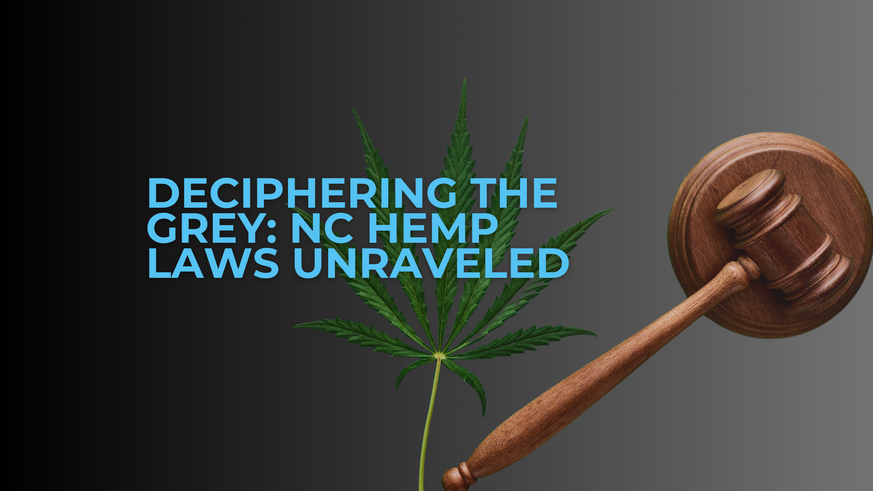 Deciphering the Grey: NC Hemp Laws Unraveled