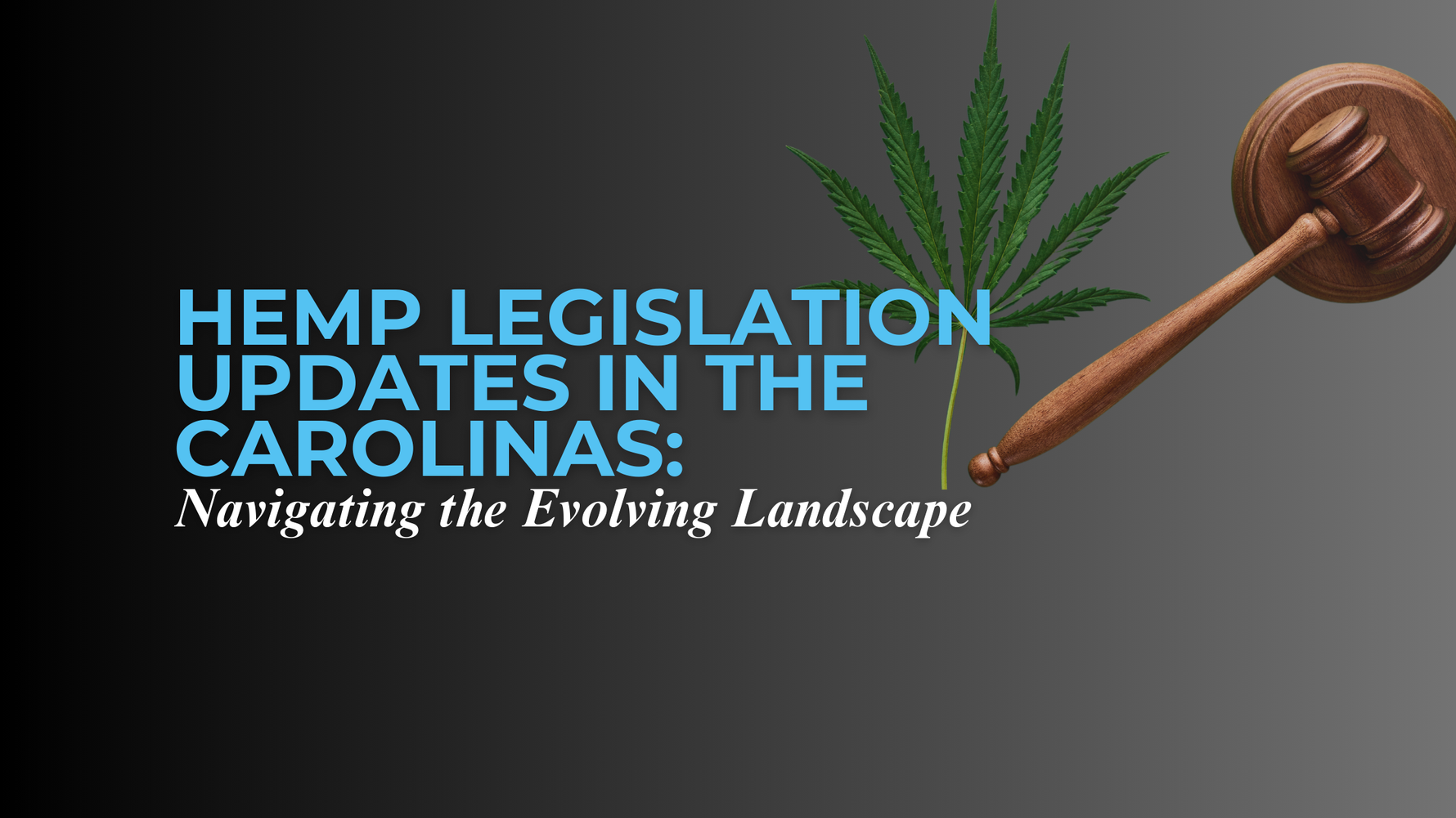 Hemp Legislation Updates in the Carolinas: Navigating the Evolving Landscape