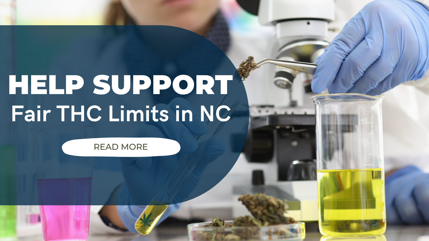 Navigating the Changing Landscape of THC Limits in North Carolina