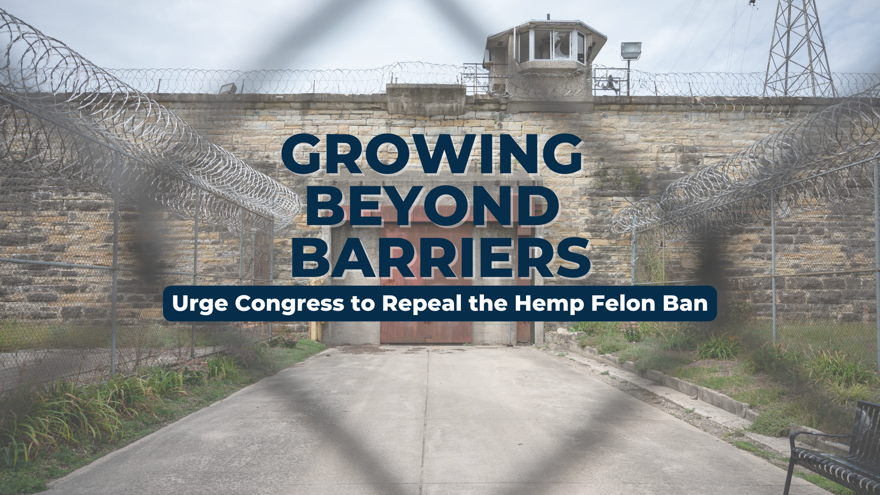 Growing Beyond Barriers How H.R.1428 Can Transform the Hemp Industry