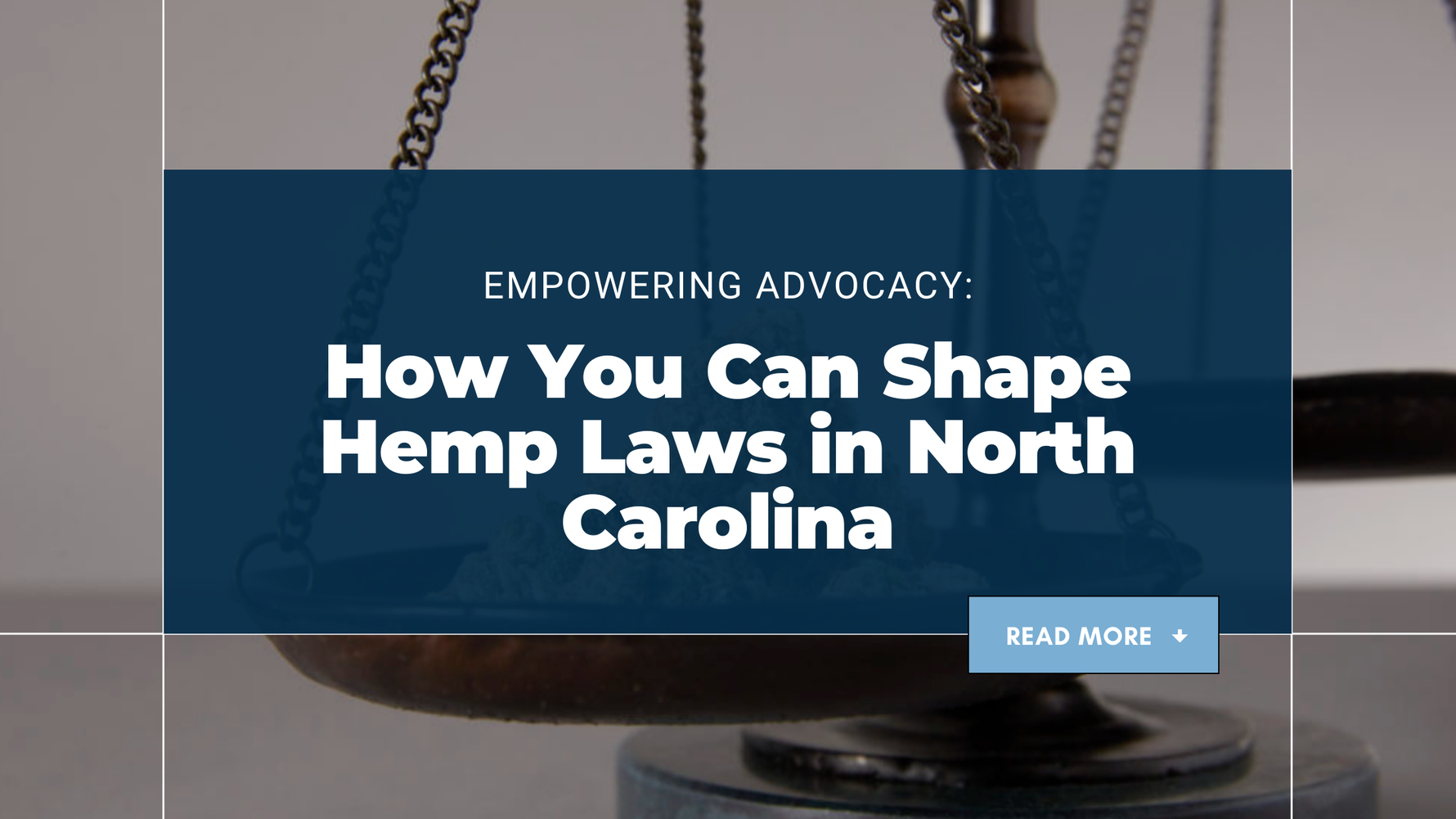 Empowering Advocacy: How You Can Shape Hemp Laws in North Carolina