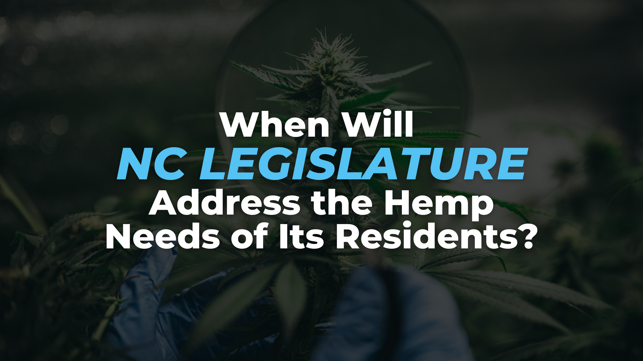 When Will NC Legislature Address the Hemp and Medical Cannabis Needs of Its Residents?